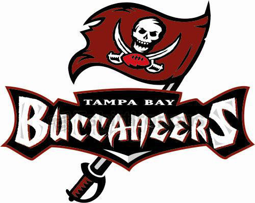 Tampa Bay Buccaneers T-shirts Iron On Transfers N828 - Click Image to Close